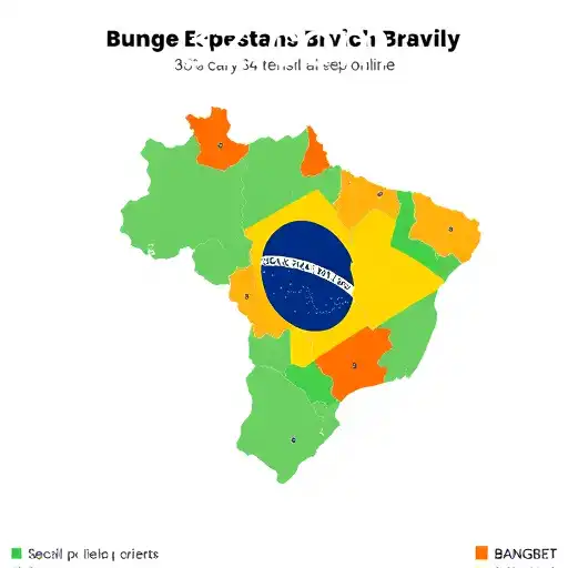 Cenário Atual das Apostas Online no Brasil
